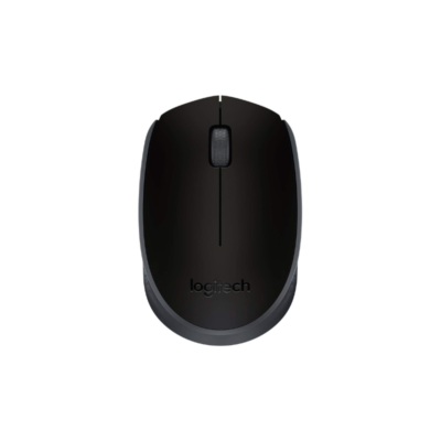 M171 souris-910-004424