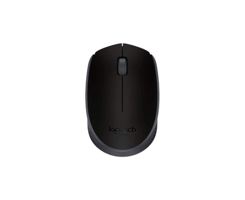 M171 souris-910-004424
