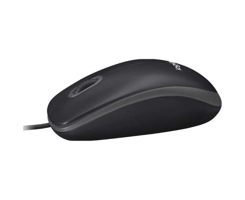 B100 souris
