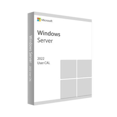 Microsoft Windows Server CAL 2022-1pk DSP OEI-5 Clients