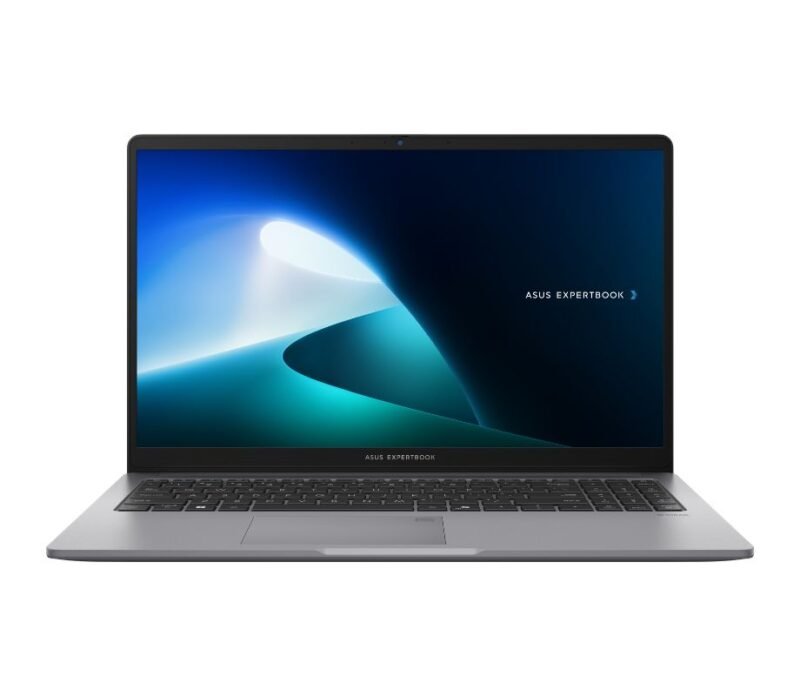 Asus pc portable ExpertBook P1 P1503CVA-NJ0991